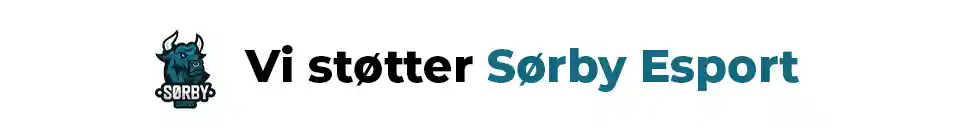 LUBI Senior - Vi støtter Sørby Esport